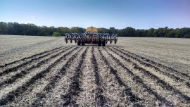 soil warrior 2